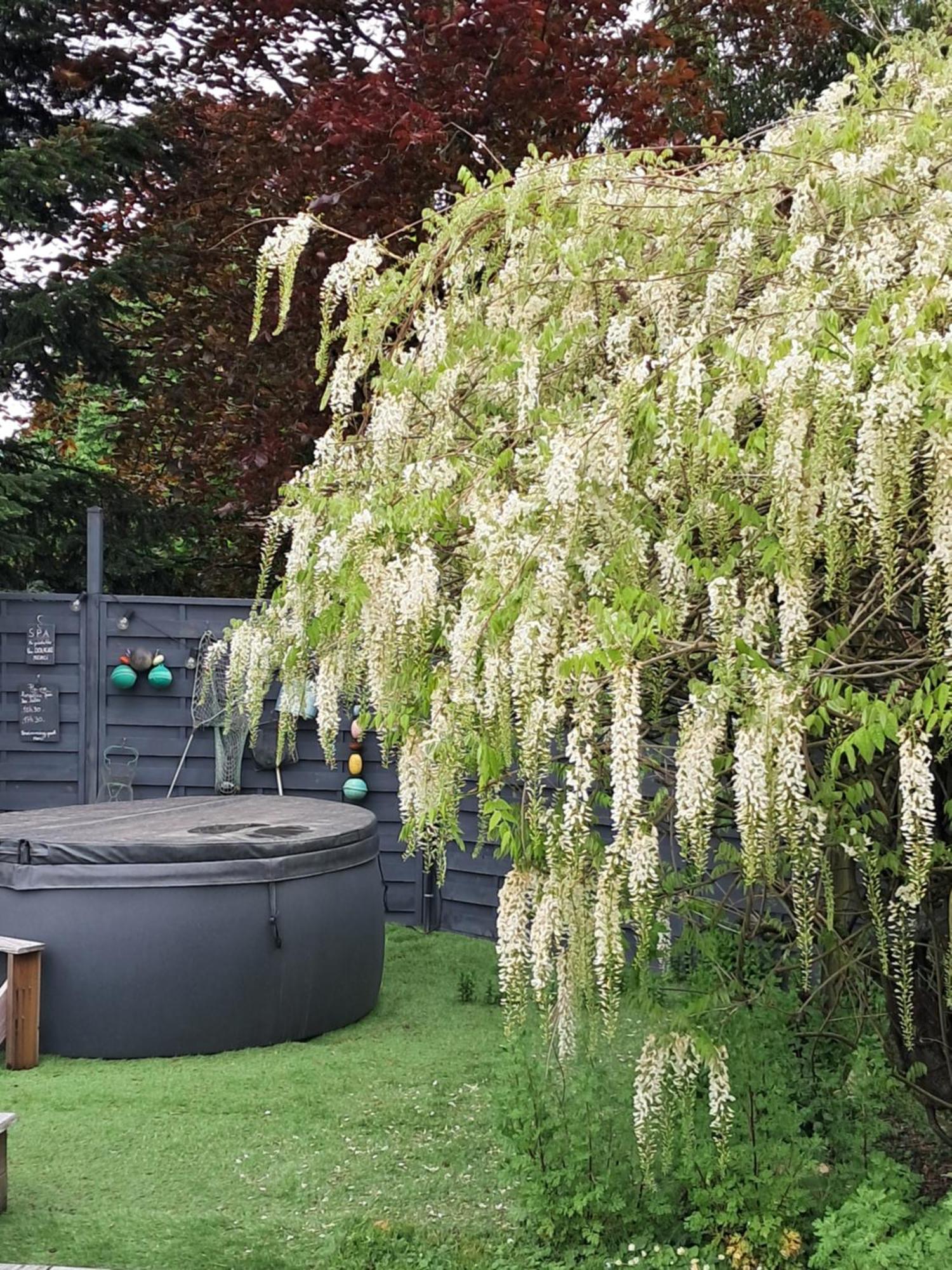 Le Buisson De La Gariole Bed & Breakfast โอบิญี-ซูร์-แนร์ ภายนอก รูปภาพ